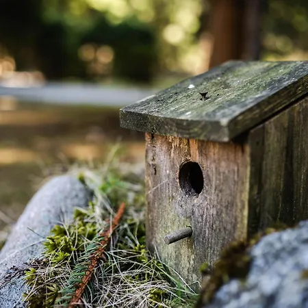 Daniela Liptovsky Jan