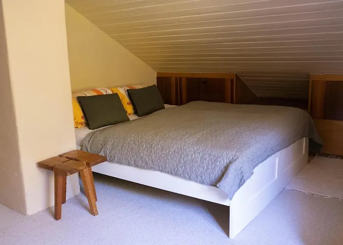 Daniela シャレー