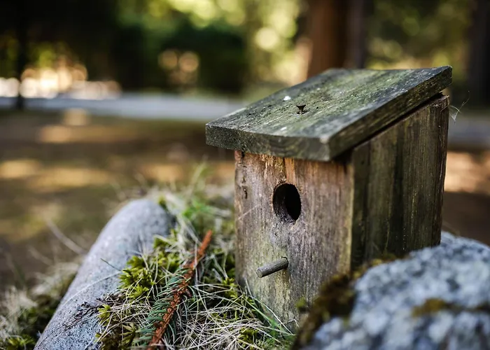 Daniela Liptovský Ján